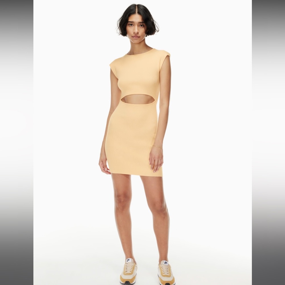 Aritzia Wilfred Free
Cut-Out Knit Mini Dress